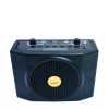 Loa trợ giảng Sony SN-898 - Hình ảnh 3