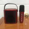 Loa karaoke mini YS102 - Hình ảnh 4