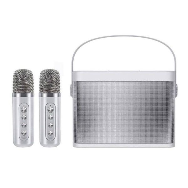 Loa karaoke YS-219 tặng 2 micro không dây