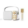 Loa karaoke mini YS-103 - Hình ảnh 4