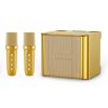 Loa karaoke YS-111 kèm 2 micro không dây - Hình ảnh 5