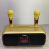 Loa karaoke mini SD-318 kèm 2 micro ko dây - Hình ảnh 4