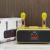 Loa karaoke mini SD-318 kèm 2 micro ko dây - Hình ảnh 6